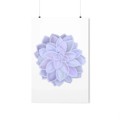 Graptopetalum Murasaki Succulent Botanical Print – Unframed Wall Art