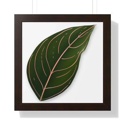Aglaonema Rotundum Framed Print – Botanical Wall Art