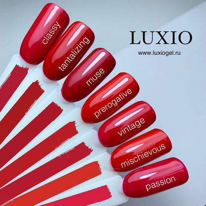 Akzentz Luxio - Muse