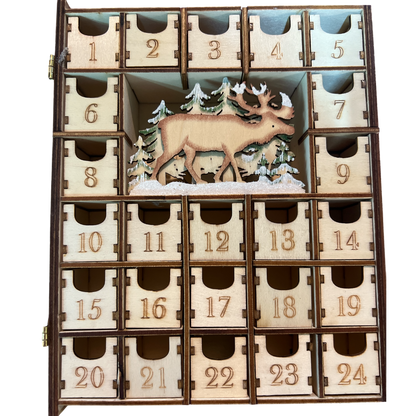 Merry Christmas Advent Book