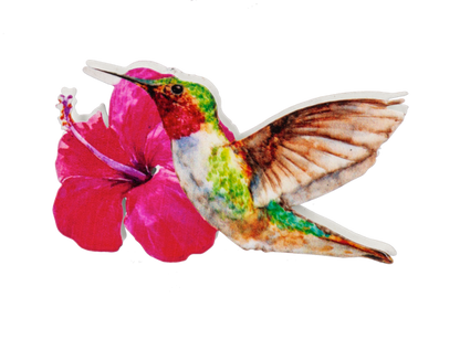 Hummingbird Screen Door Savers -