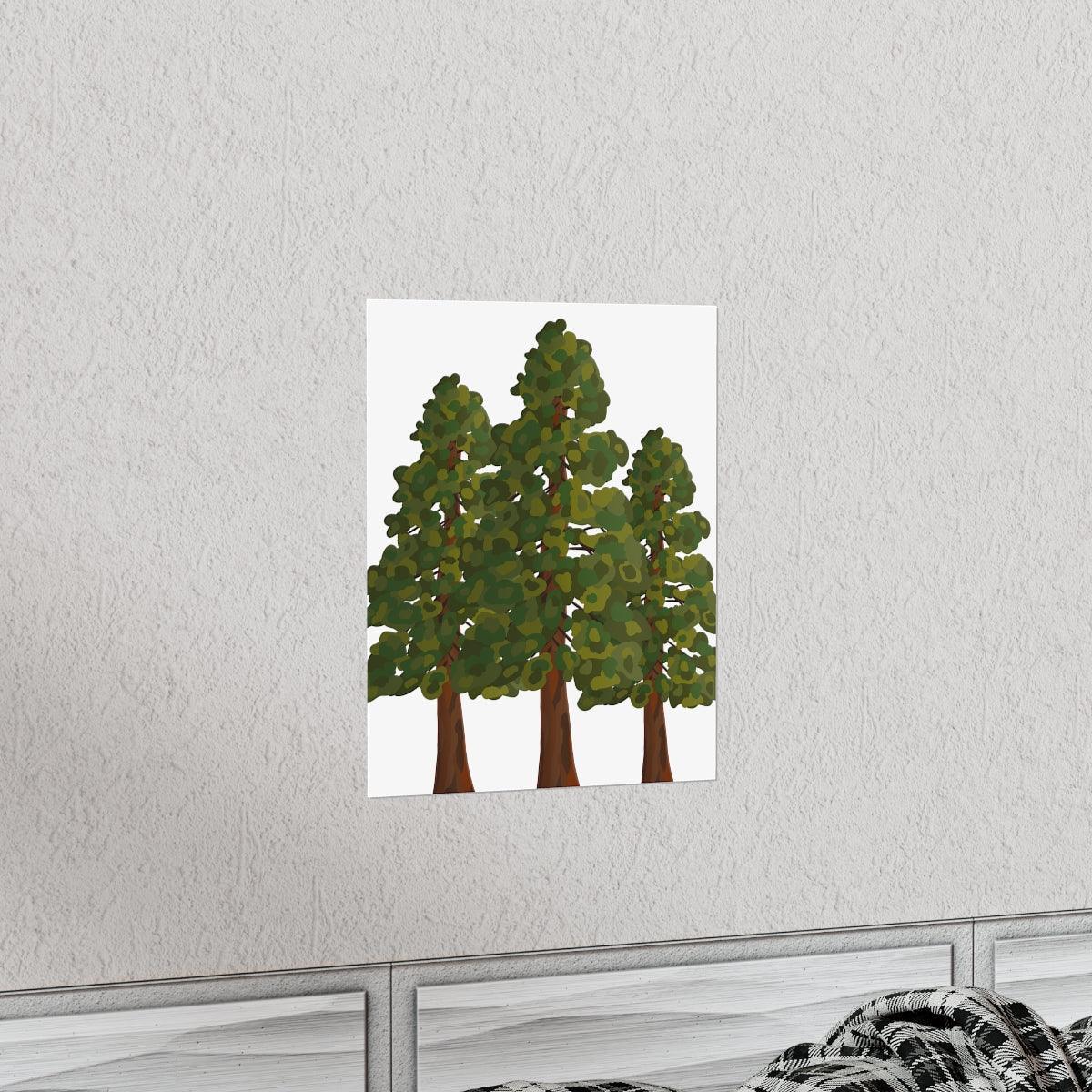 Coastal Redwood Print – Unframed Wall Art