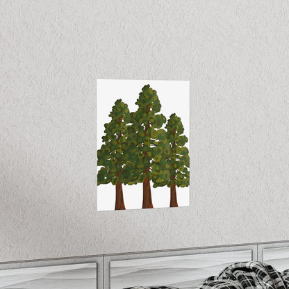 Coastal Redwood Print – Unframed Wall Art
