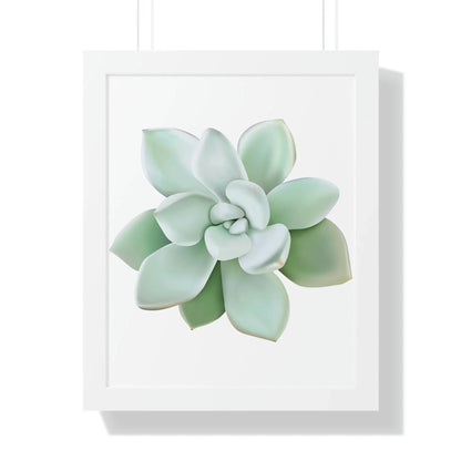 Pachyveria Haagei Succulent Framed Print – Botanical Wall Art