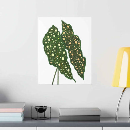 Begonia Maculata Botanical Print – Unframed Wall Art