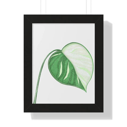 Monstera Albo Illustrated Framed Print – Botanical Wall Art