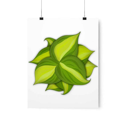 Philodendron Brasil Botanical Print – Unframed Wall Art