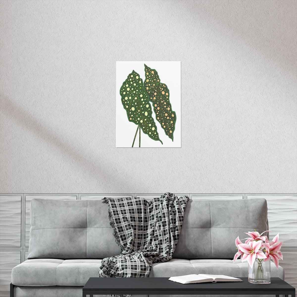 Begonia Maculata Botanical Print – Unframed Wall Art