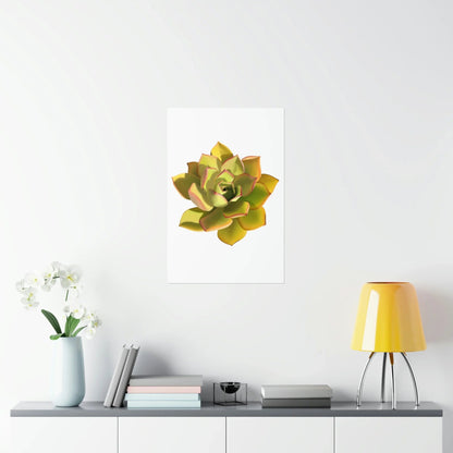 Noble Aeonium Succulent Botanical Print – Unframed Wall Art