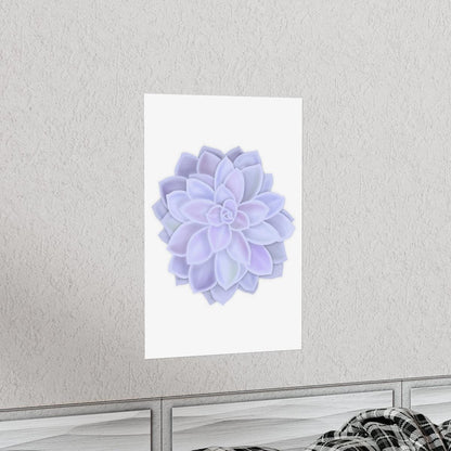 Graptopetalum Murasaki Succulent Botanical Print – Unframed Wall Art
