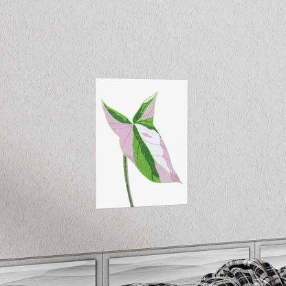 Syngonium Tricolor Botanical Print – Unframed Wall Art