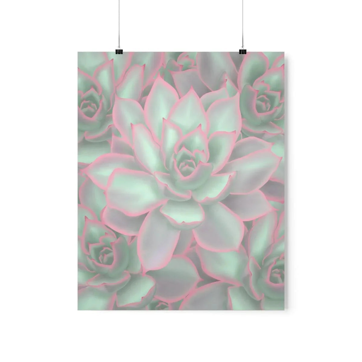Echeveria Violet Queen Succulent Pattern Botanical Print – Unframed Wall Art