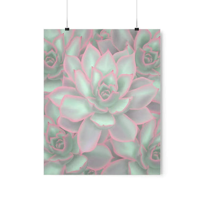 Echeveria Violet Queen Succulent Pattern Botanical Print – Unframed Wall Art