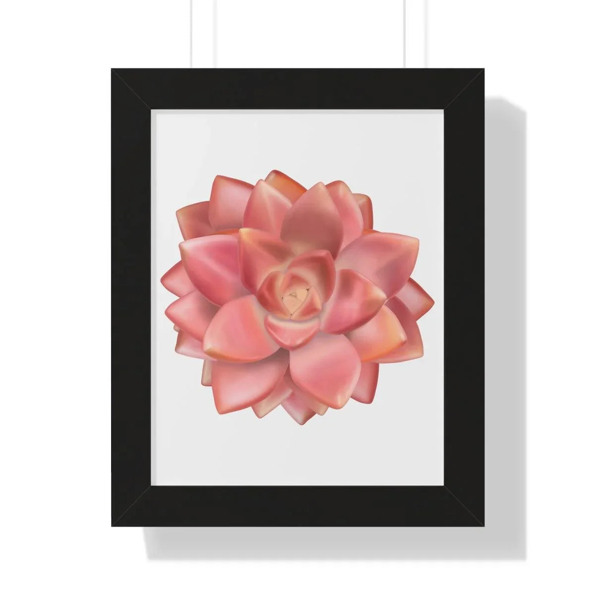 Graptosedum California Sunset Succulent Framed Print – Botanical Wall Art