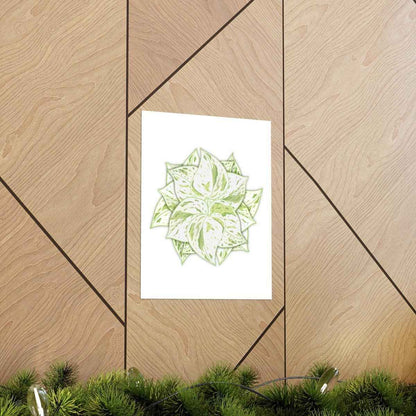 Snow Queen Pothos Botanical Print – Unframed Wall Art