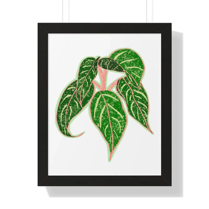 Aglaonema Sparkling Sarah Framed Print – Botanical Wall Art