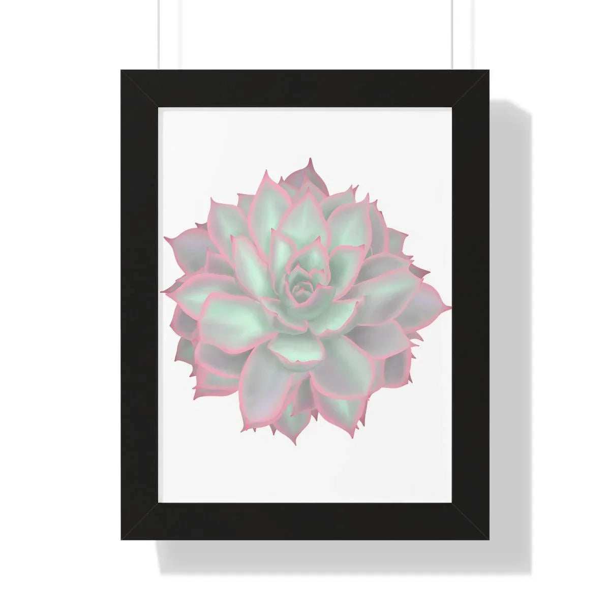 Echeveria Violet Queen Succulent Framed Print – Botanical Wall Art