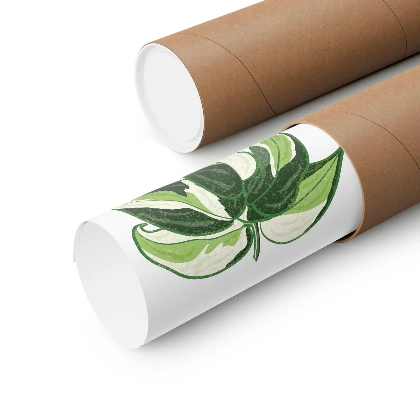 Philodendron Cream Splash Botanical Print – Unframed Wall Art
