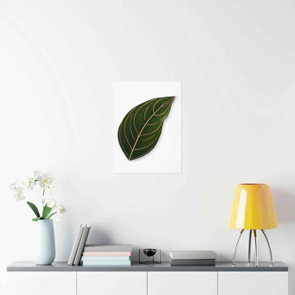 Aglaonema Rotundum Botanical Print – Unframed Wall Art