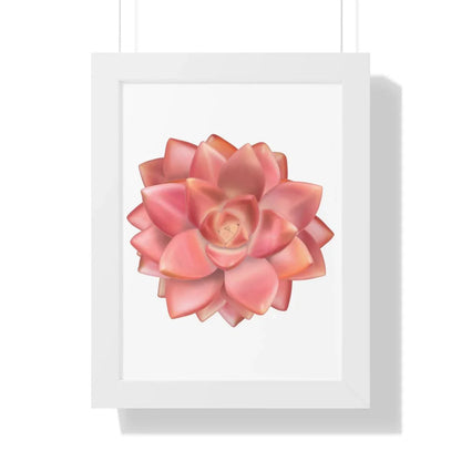 Graptosedum California Sunset Succulent Framed Print – Botanical Wall Art