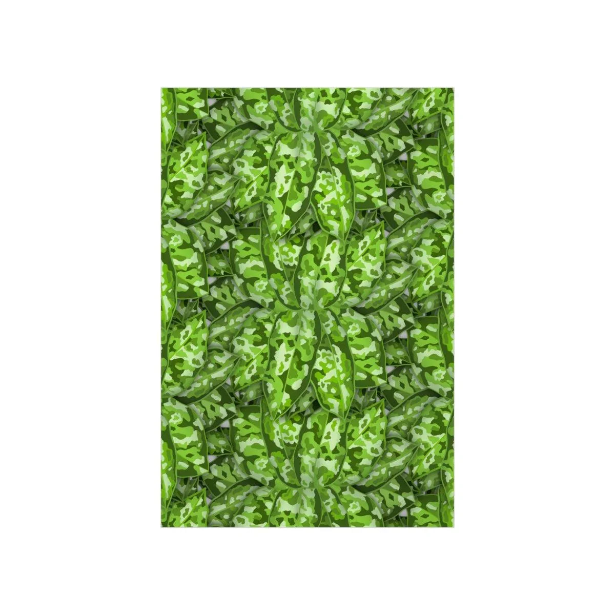 Aglaonema Pictum Botanical Print – Unframed Wall Art