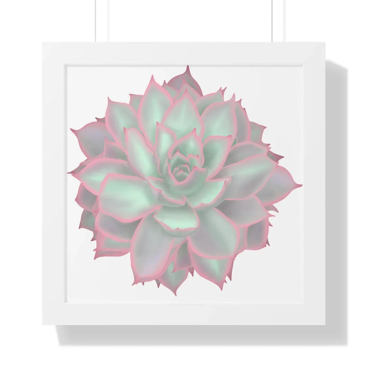 Echeveria Violet Queen Succulent Framed Print – Botanical Wall Art