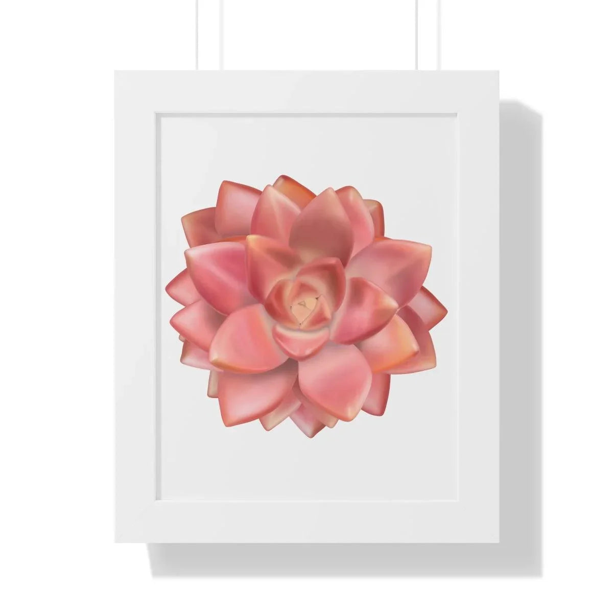 Graptosedum California Sunset Succulent Framed Print – Botanical Wall Art