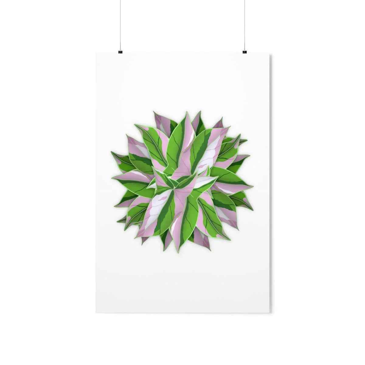 Syngonium Tricolor Pattern Botanical Print – Unframed Wall Art