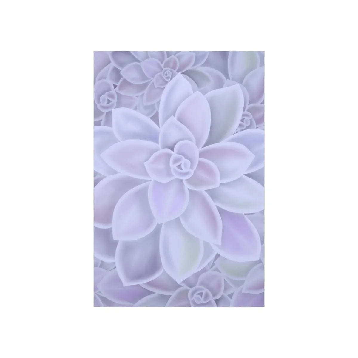 Graptopetalum Murasaki Succulent Pattern Botanical Print – Unframed Wall Art