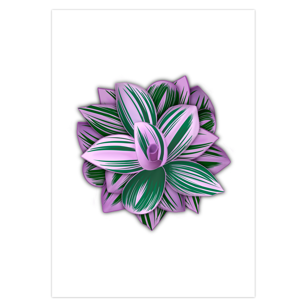 Tradescantia Nanouk Foliage Greeting Card – Blank Inside With Envelope