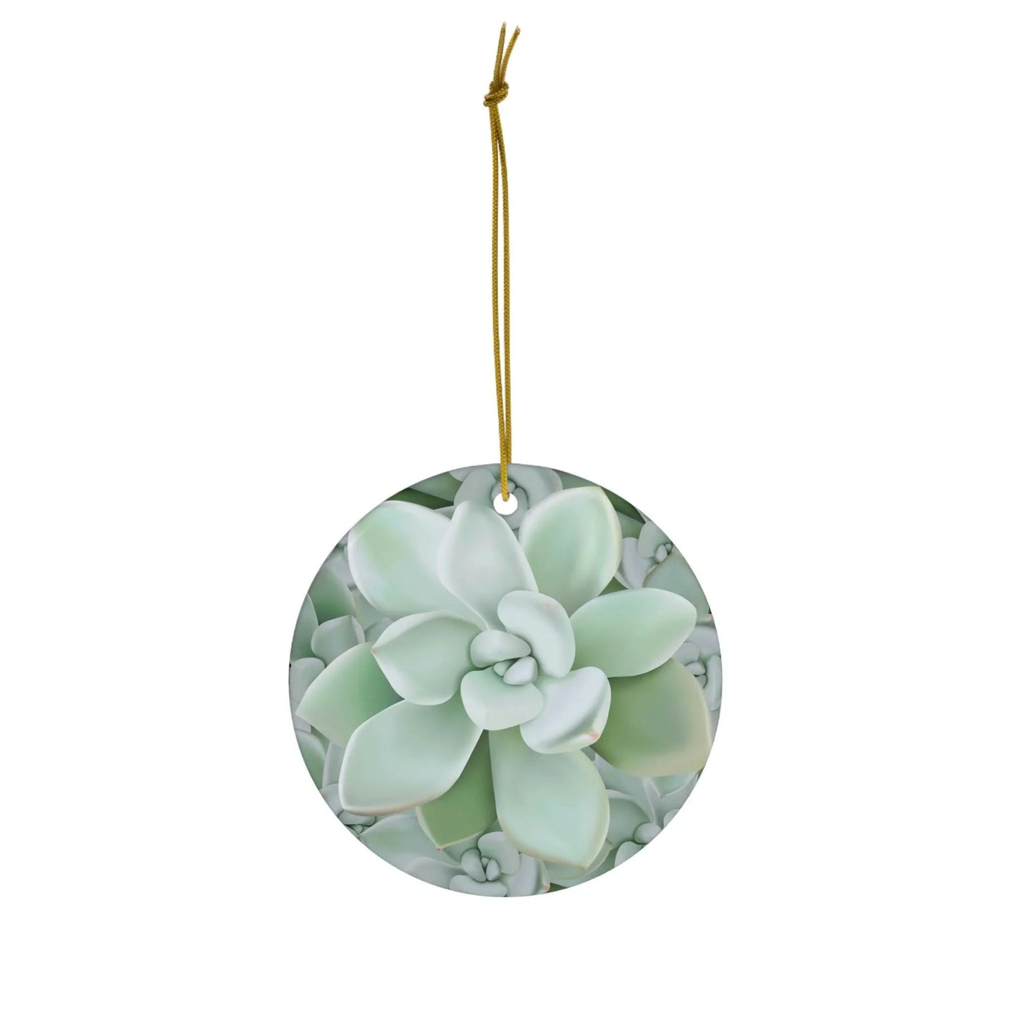 Pachyveria Haagei Succulent Ceramic Ornament – Blue Pastel Rosette