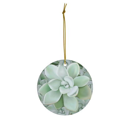 Pachyveria Haagei Succulent Ceramic Ornament – Blue Pastel Rosette