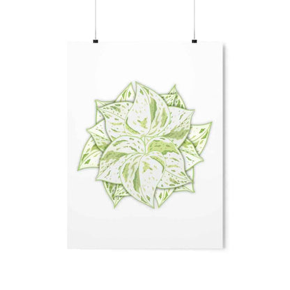 Snow Queen Pothos Botanical Print – Unframed Wall Art