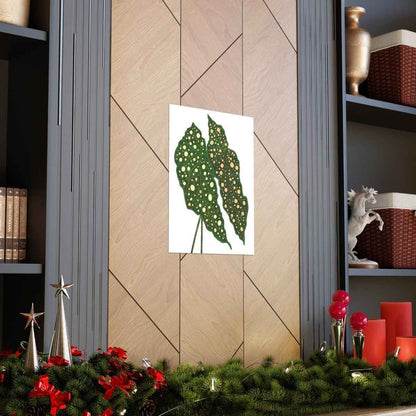 Begonia Maculata Botanical Print – Unframed Wall Art