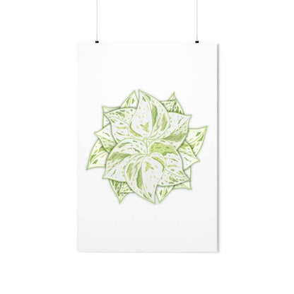 Snow Queen Pothos Botanical Print – Unframed Wall Art
