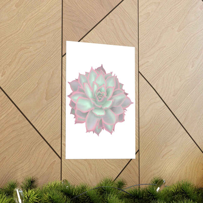 Echeveria Violet Queen Succulent Botanical Print – Unframed Wall Art