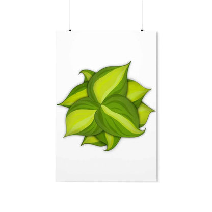 Philodendron Brasil Botanical Print – Unframed Wall Art