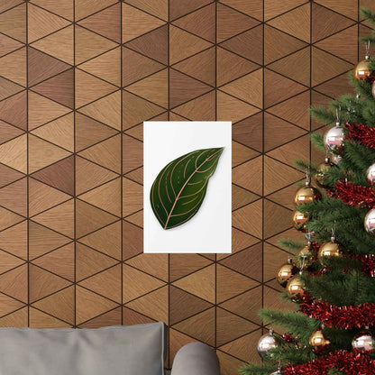 Aglaonema Rotundum Botanical Print – Unframed Wall Art