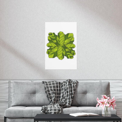 Calathea Yellow Fusion Botanical Print – Unframed Wall Art
