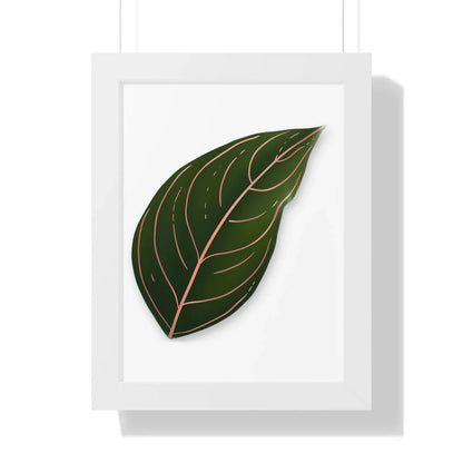 Aglaonema Rotundum Framed Print – Botanical Wall Art