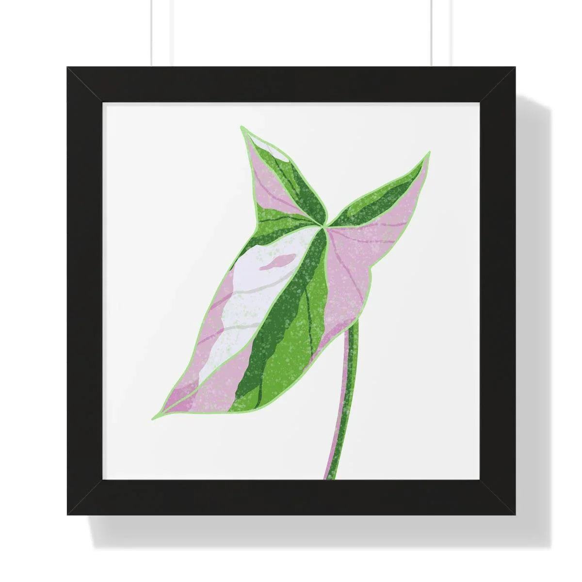 Syngonium Tricolor Framed Print – Botanical Wall Art