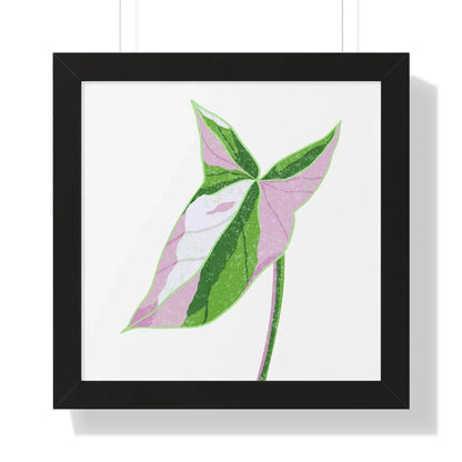 Syngonium Tricolor Framed Print – Botanical Wall Art