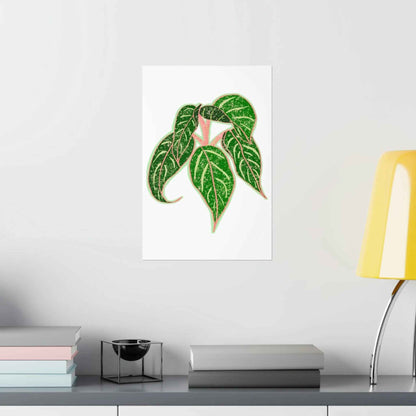 Aglaonema Sparkling Sarah Botanical Print – Unframed Wall Art