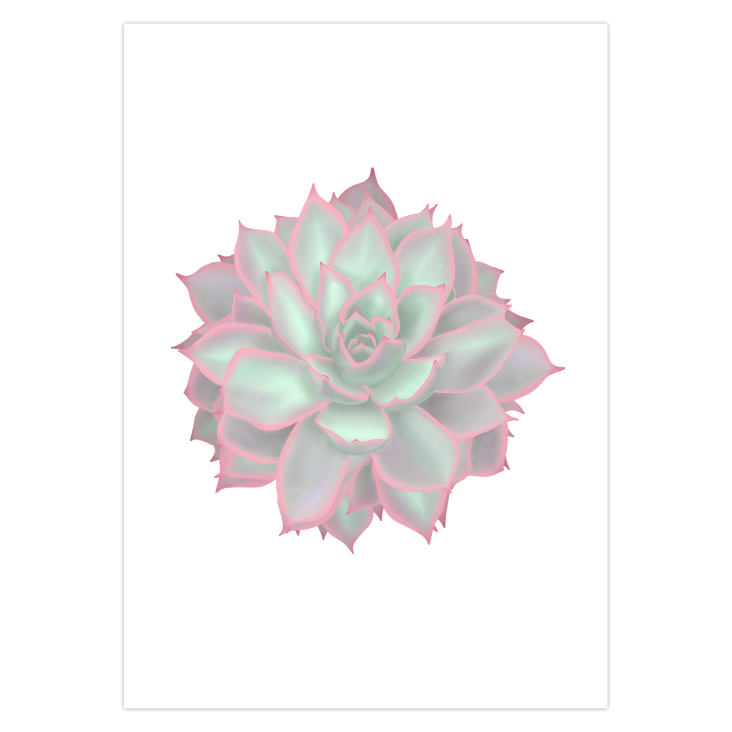 Echeveria Violet Queen Succulent Greeting Card – Blank Inside With Envelope