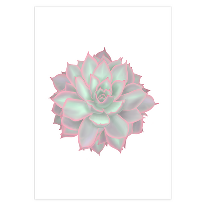 Echeveria Violet Queen Succulent Greeting Card – Blank Inside With Envelope