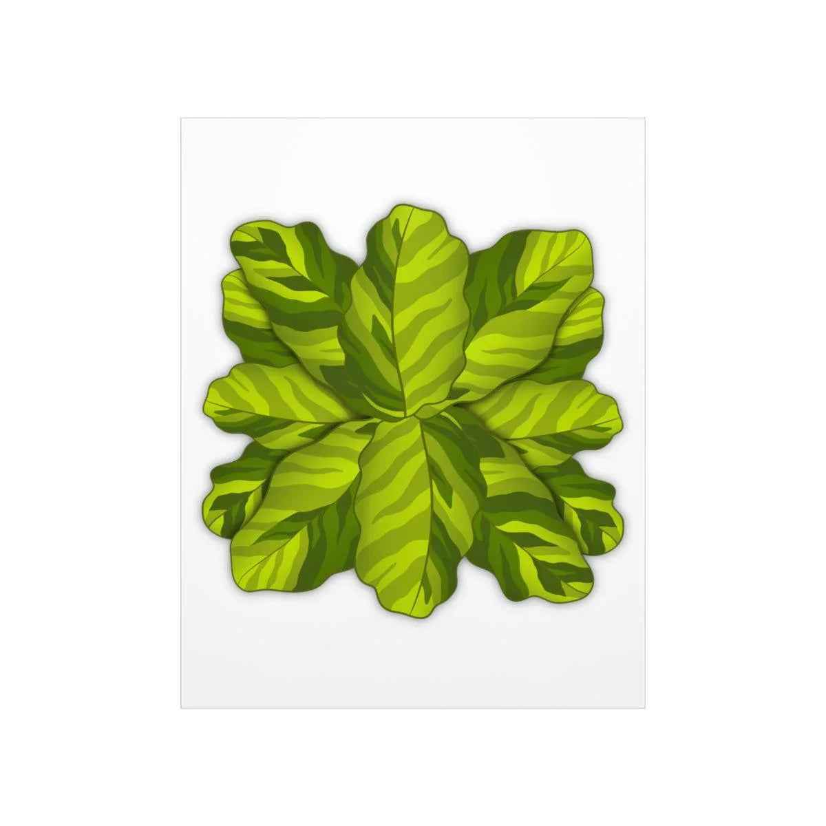Calathea Yellow Fusion Botanical Print – Unframed Wall Art