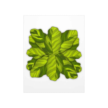 Calathea Yellow Fusion Botanical Print – Unframed Wall Art