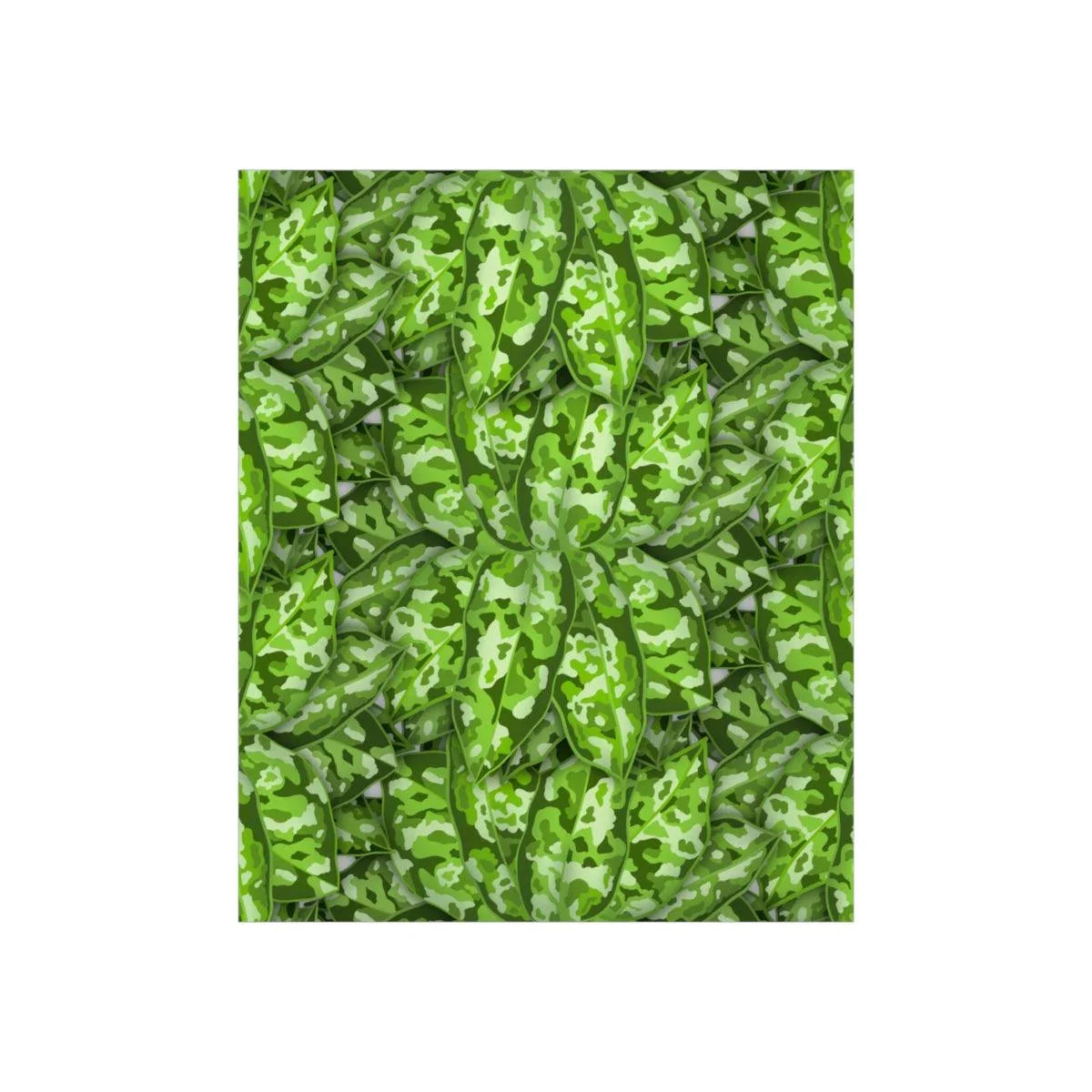 Aglaonema Pictum Botanical Print – Unframed Wall Art