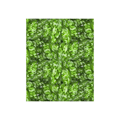 Aglaonema Pictum Botanical Print – Unframed Wall Art