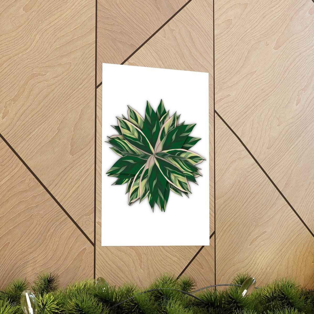 Stromanthe Triostar Botanical Print – Unframed Wall Art